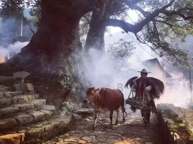 利物浦祝卡拉格46岁生日快乐,卡拉格留言:再赢一场!