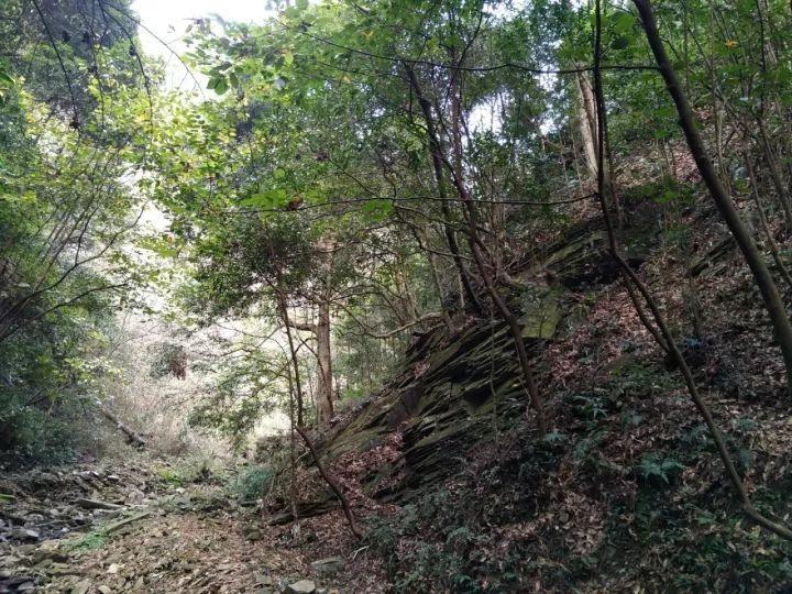T008路公交专线开通